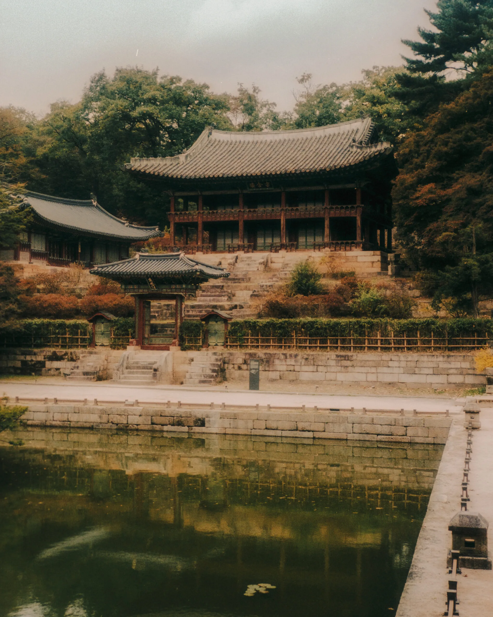 Changdeokgung Secret Garden