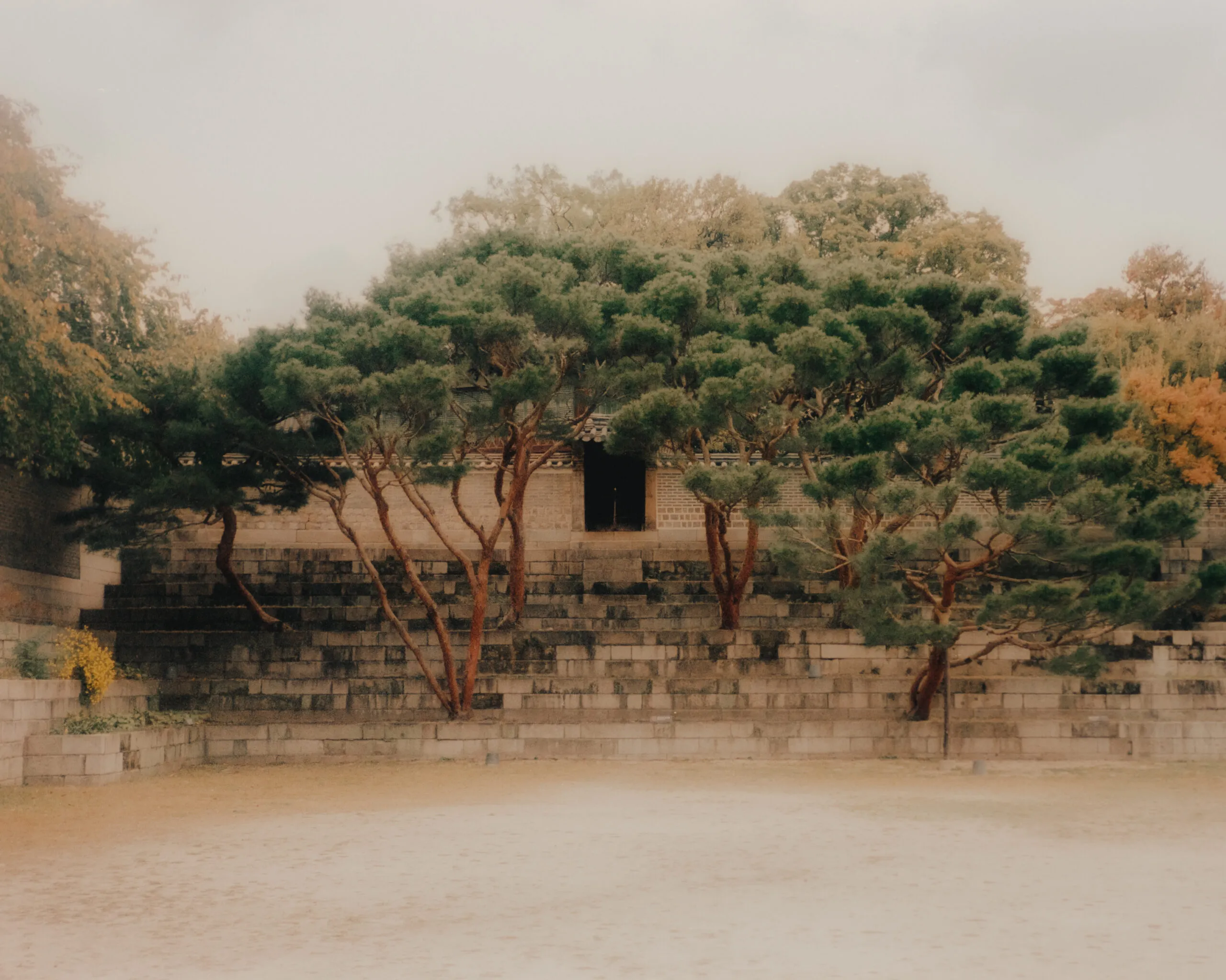 Changdeokgung – Seoul, South Korea by Filip Gielda-44