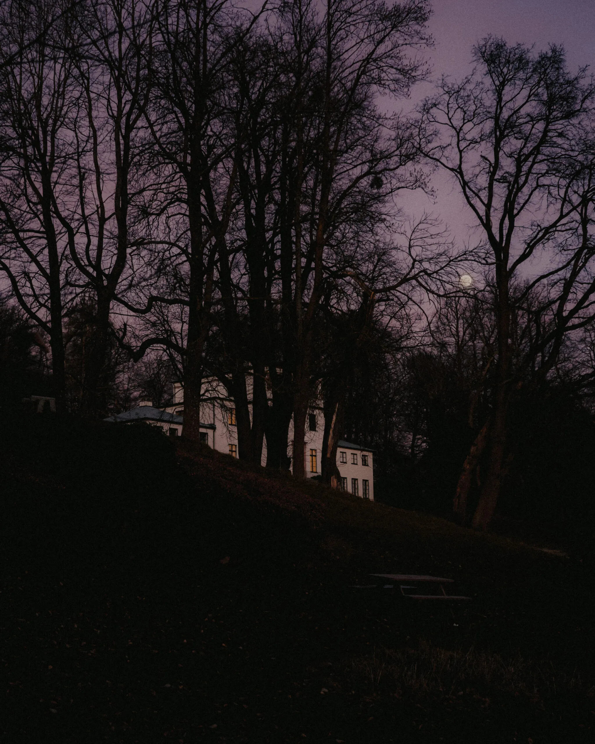Sophienholm at golden hour