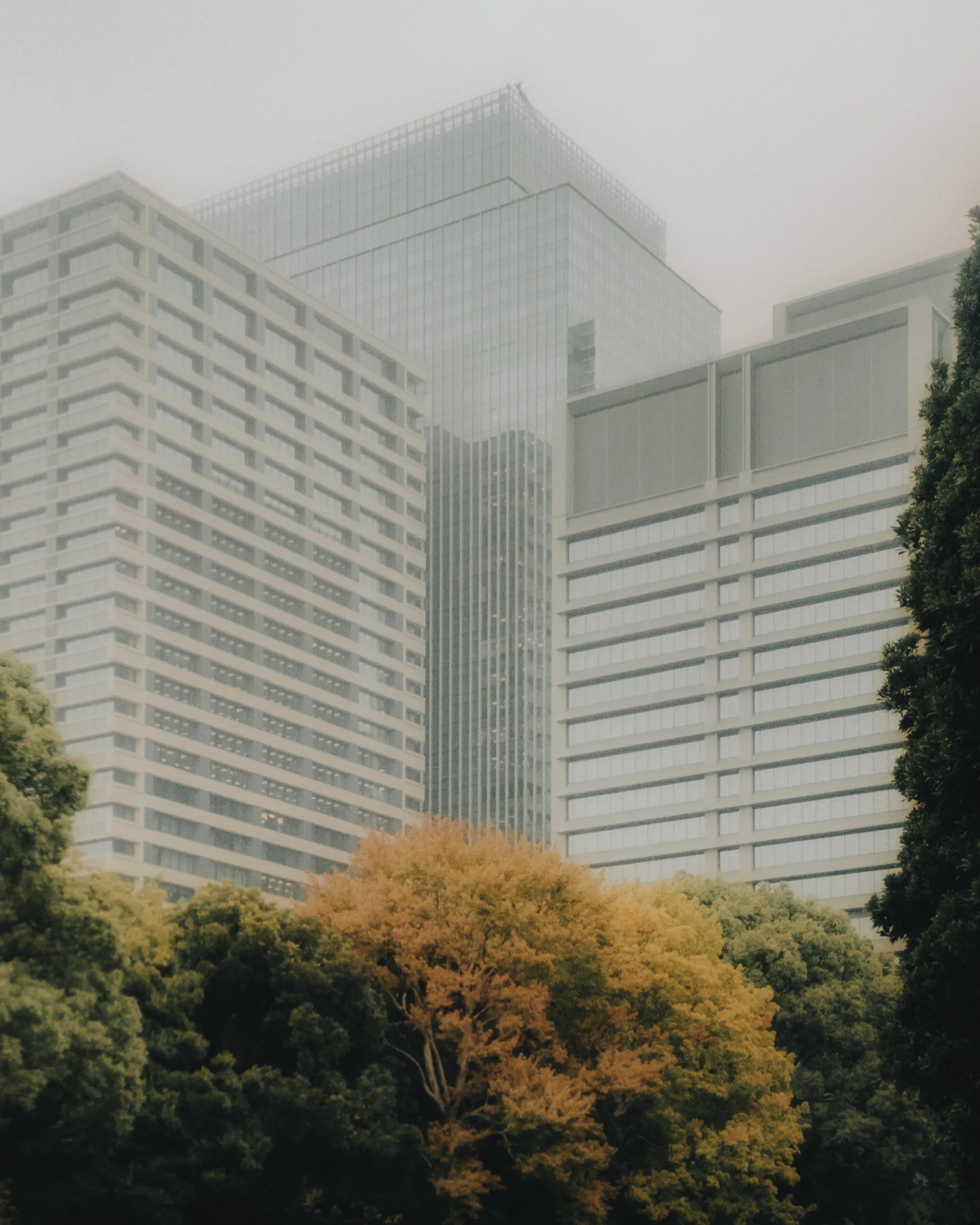 Tokyo on film